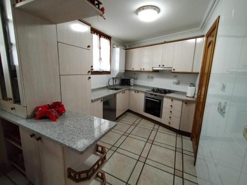 埃特克萨拉尔Aldalurberea的厨房配有白色橱柜和台面