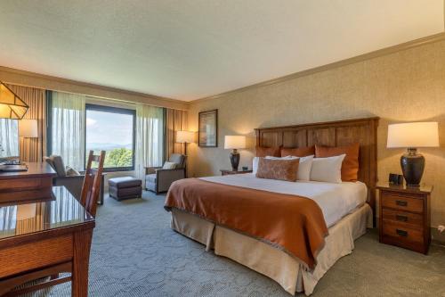阿什维尔阿什欧姆尼丛林公园酒店 的酒店客房设有一张大床和一张书桌。