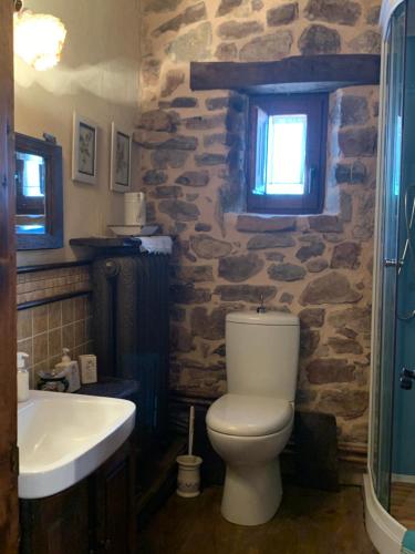 莱昂Elpajardeportilla的石质浴室设有卫生间和水槽