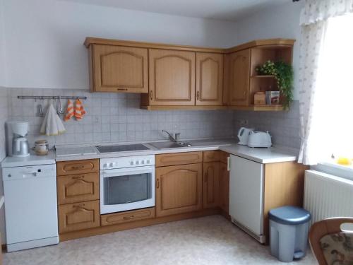 上隆维茨Haus Ingrid Ferienwohnung Vintage的厨房配有木制橱柜和白色的电器