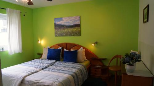 阿尔滕马克特蓬高AlpenSportLodge的绿色卧室配有蓝色枕头的床