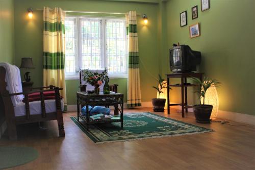帕坦KAJI HOME的客厅设有绿色的墙壁和电视。
