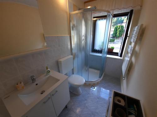 科巴里德Chalet and Apartment Žonir with SAUNA的带淋浴、盥洗盆和卫生间的浴室