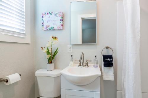 圣何塞@ Marbella Lane Mini Guest House in Downtown San Jose的一间带水槽、卫生间和镜子的浴室