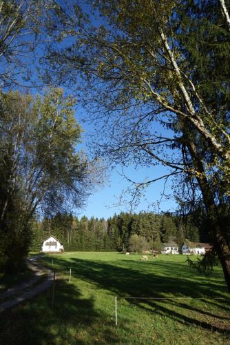 雷根Baumzelt am Waldesrand的一片草场,长着树木,远处有一所房子