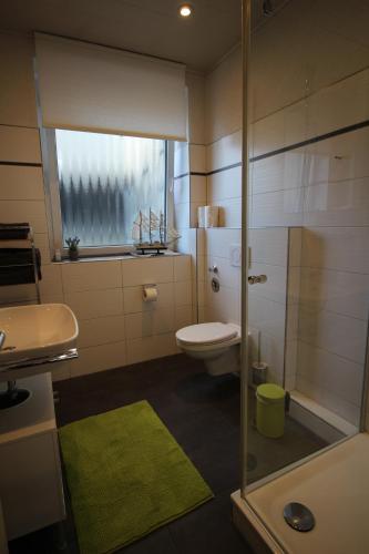 科布伦茨City Schloss Viktoria的带淋浴、卫生间和盥洗盆的浴室