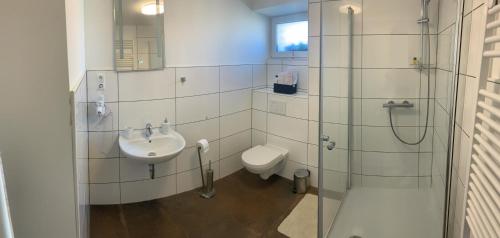 普尔海姆Abtei Apartment Brauweiler的一间带水槽和卫生间的浴室