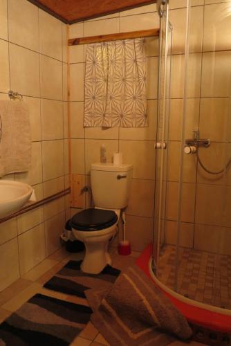 奥卡汉贾Okahandja Guesthouse的浴室配有卫生间、盥洗盆和淋浴。