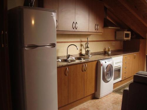 VilallerCasa Magí的厨房配有冰箱、水槽和洗碗机。