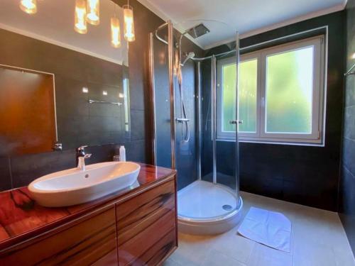 Sankt Radegund bei Graz赛锐膳食公寓酒店的一间带水槽、淋浴和卫生间的浴室
