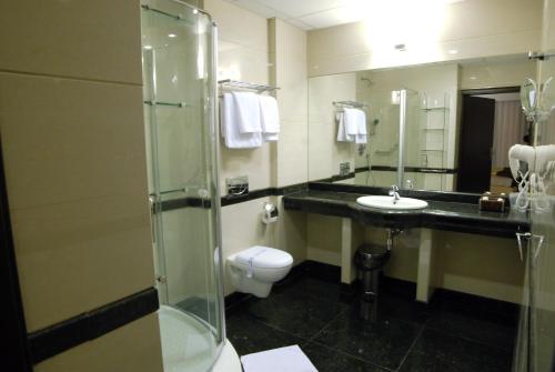 罗兹国宾中心酒店的浴室配有卫生间、盥洗盆和淋浴。