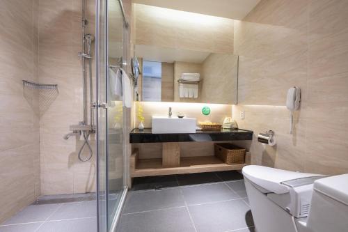 台东娜路弯银河行馆的带淋浴、盥洗盆和卫生间的浴室