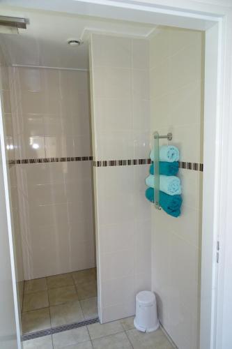 LoerbeekBeekse Brink的带淋浴和蓝色毛巾的浴室