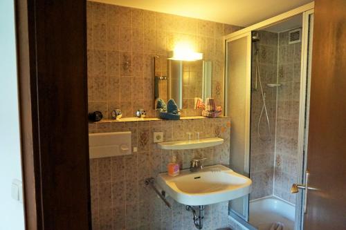 奥伯斯特多夫卡尼利比里亚酒店的一间带水槽和淋浴的浴室