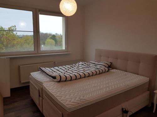 Halle-NeustadtAm Landschaftsschutzgebiet, 3 Zimmer, nur mit Mietvertrag的配有2扇窗户的客房内的1张床