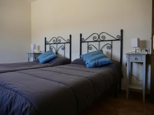 塞埃欣Casa Rural Ortega Rubio的两张带蓝色枕头的床铺,彼此相邻