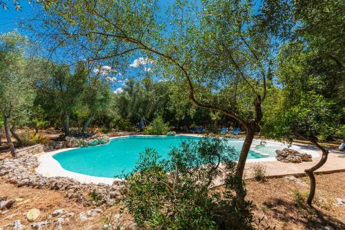 锡内乌萨卡萨罗特加酒店的树荫庭院中的游泳池