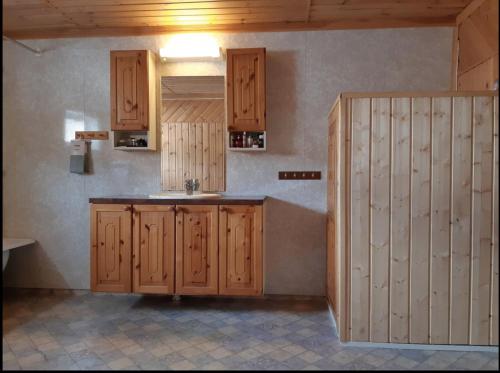 FoldereidGraceland Norway的一个带木制橱柜和水槽的厨房