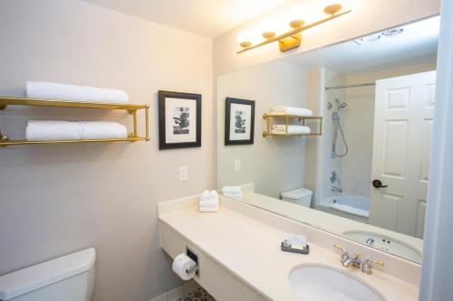 林肯市海鸥旅馆的一间带水槽、卫生间和镜子的浴室