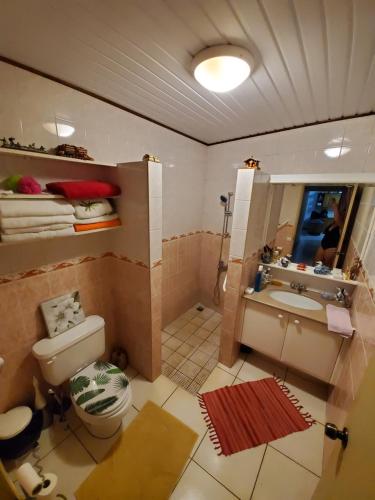 帕皮提Private Room in our Home Stay by Kohutahia Lodge, 7 min by car to airport and town的一间带卫生间、水槽和镜子的浴室
