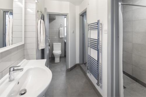 伦敦阿斯特博物馆旅舍的白色的浴室设有水槽和卫生间。
