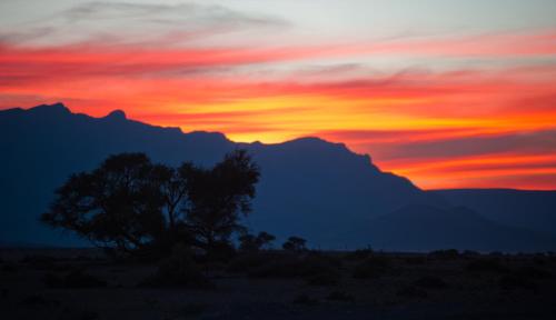 索利泰尔Namib Desert Campsite的沙漠中的日落,树和山