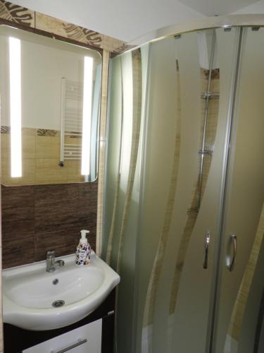 维尔卡瑟Bajka Anity的一间带水槽和淋浴的浴室