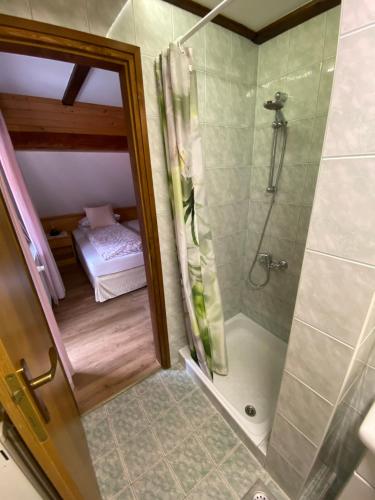 Hiša Planšar Bohinj accommodations的一间浴室