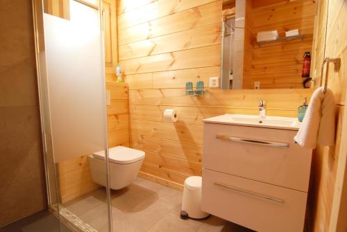 Les ValettesLe cocon du Catogne proche Martigny Verbier - Netflix -的一间带卫生间和水槽的小浴室