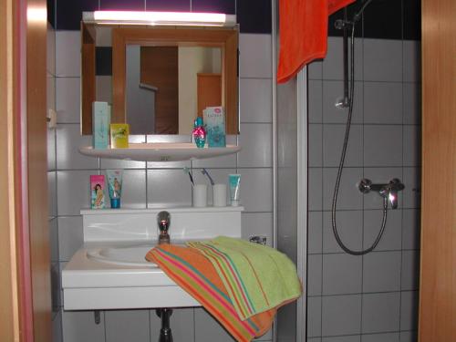PlanneralmFerienwohnung 11 Planneralm的一间带水槽、镜子和淋浴的浴室