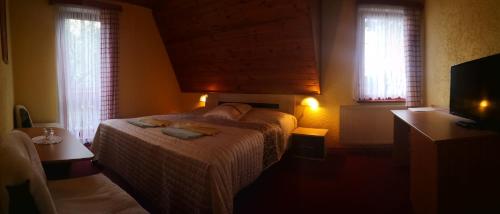 弗兰季谢克矿泉镇埃里卡膳食公寓酒店的一间卧室设有一张床、一台电视和两个窗户。