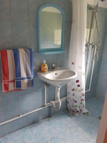 霍雷祖Pastravaria Romani的一间带水槽和镜子的浴室