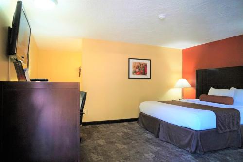 麦克明维尔麦克明维尔汽车旅馆的配有一张床和一台平面电视的酒店客房