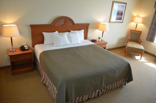 Red OakRed Coach Inn & Suites的酒店客房带一张大床和一把椅子