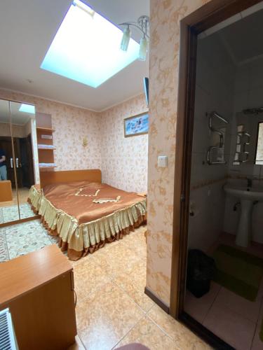 ZvenyhorodkaЗолотий Лев的一间设有床铺和水槽的客房