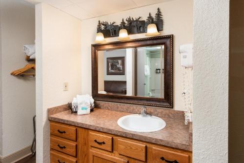 鸽子谷溪石旅馆的一间带水槽和镜子的浴室
