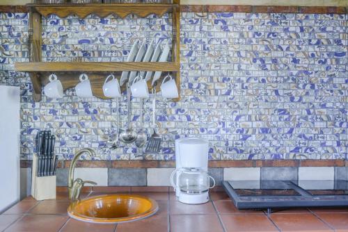 巴尔巴特El castaño的厨房配有带咖啡壶的柜台和墙壁