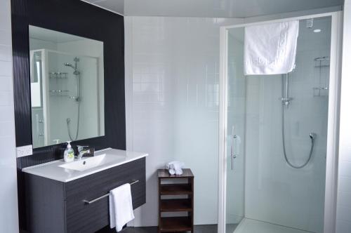皇后镇四季汽车旅馆的浴室配有盥洗盆和带镜子的淋浴