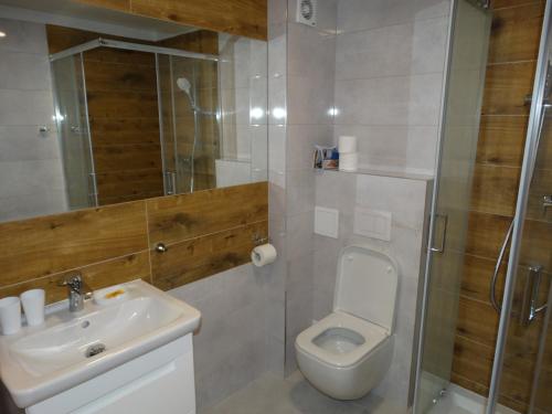 米耶伦科Willa Morska的浴室配有卫生间、盥洗盆和淋浴。