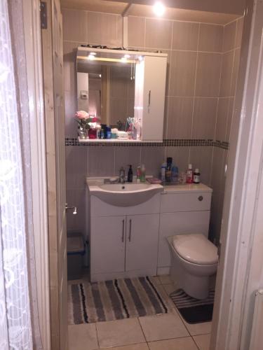 德罗伊特威奇Beautiful Bungalow Home Droitwich SPA的一间带水槽、卫生间和镜子的浴室