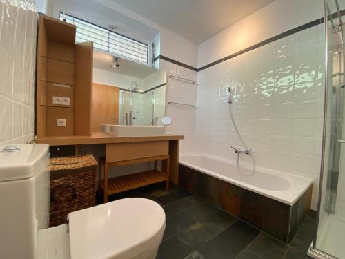 埃伦豪森Erzherzog Johann Relax Appartements的浴室配有卫生间、浴缸和水槽。
