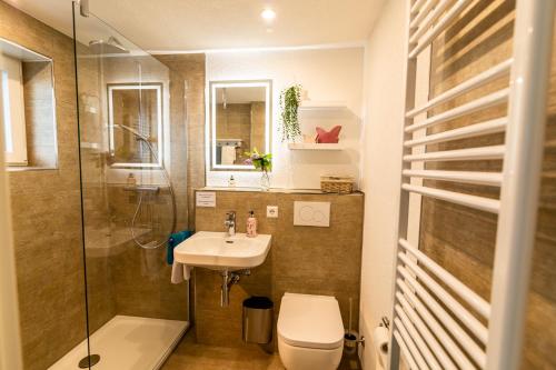 弗罗伊登施塔特托尔布里克公寓的浴室配有卫生间、盥洗盆和淋浴。