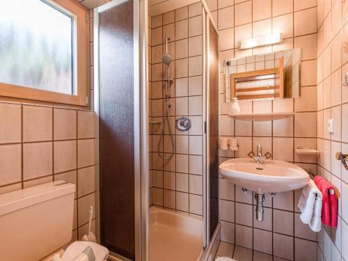 希帕赫盖斯勒旅馆的一间带水槽和淋浴的浴室