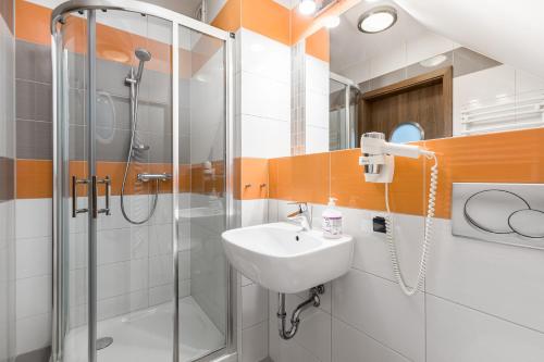 德兹维济诺帕里斯基旅馆的一间带水槽和淋浴的浴室