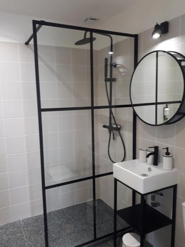 雷恩Le Lagon, studio cosy lumineux - proche gare的带淋浴、盥洗盆和镜子的浴室