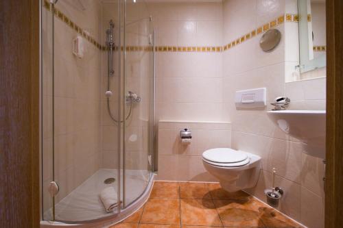 伯拜恩奥夫德姆奥博格美景旅馆的带淋浴、卫生间和盥洗盆的浴室