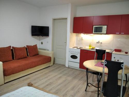 索科矿泉村Apartman 4 - Studio Janja的带沙发和桌子的小客厅