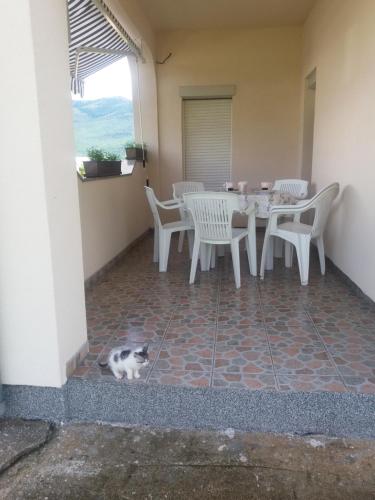 科雷尼察Apartment Sky的一只猫在带桌椅的庭院里散步