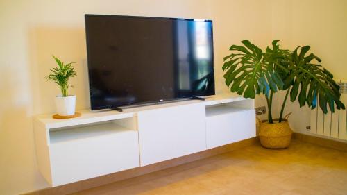 坎巴多斯Apartamentos Casa Cabana的白色娱乐中心的电视机,两株植物