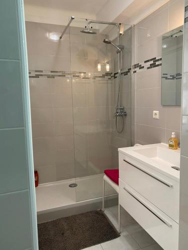 博索莱伊Appartements 5MIN MONTE CARLO的带淋浴、浴缸和盥洗盆的浴室